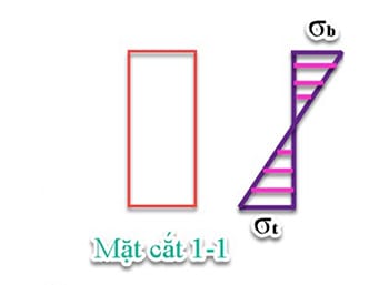 Bê tông cốt thép 3.jpg