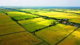 Đất nông nghiệp là gì