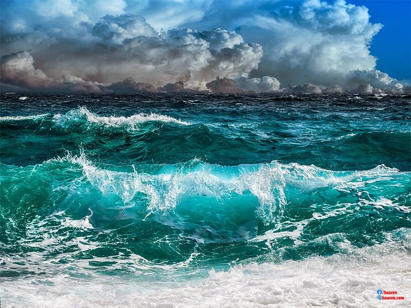 sóng biển là gì?